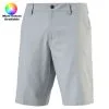 Puma 2017 Essential Pounce Shorts